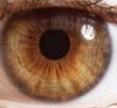 Bruine ogen